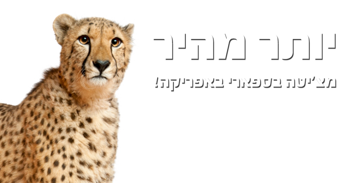 ads-transparent2