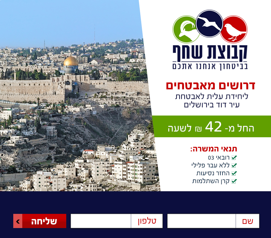 שחף אבטחה
